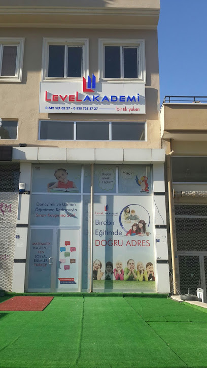 Level Akademi