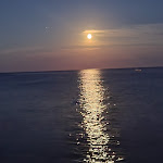 Photo n° 2 de l'avis de AUBERT.o fait le 13/08/2022 à 09:04 pour L'Orma à Conca