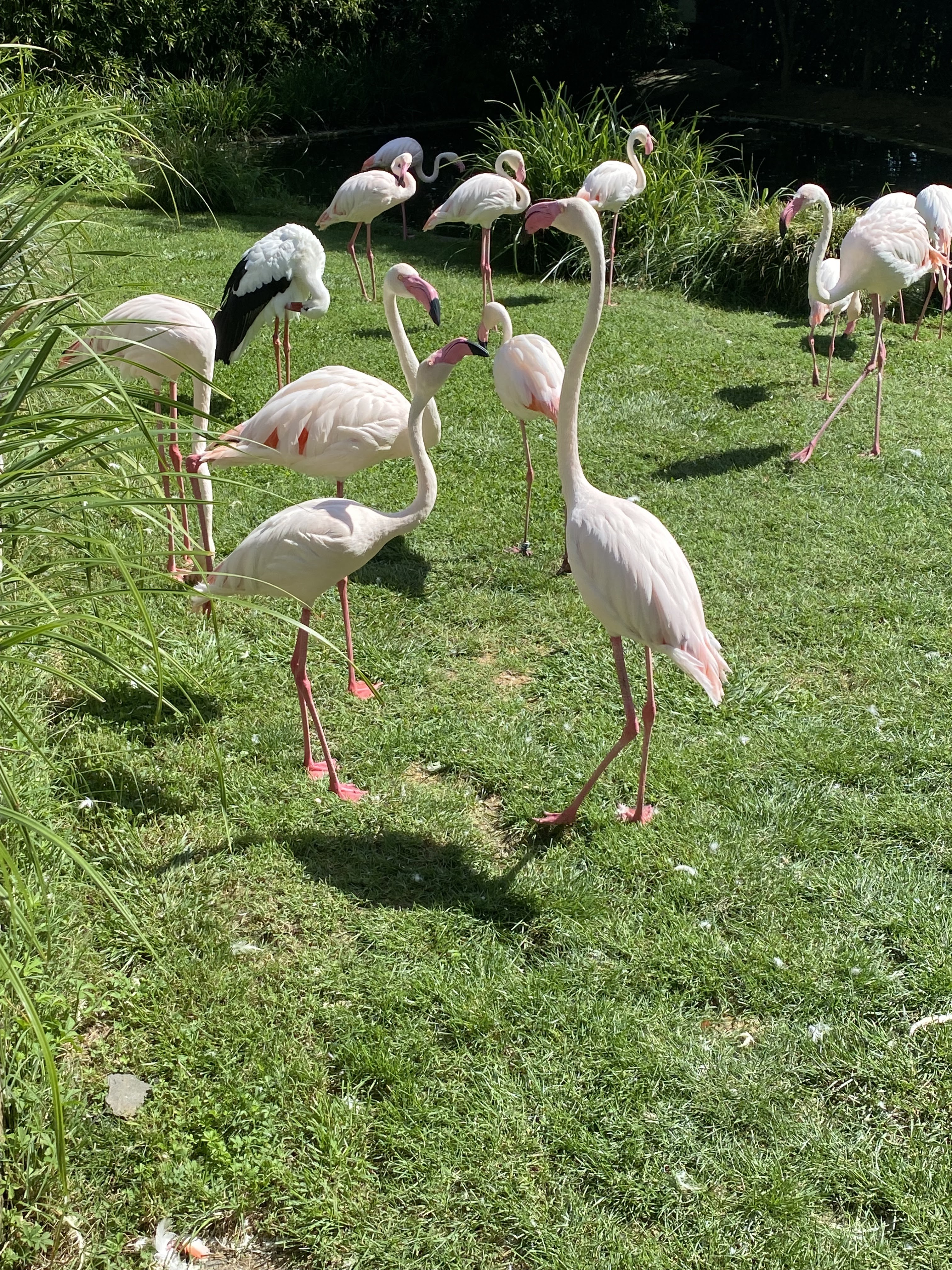 Photo n° 8 de l'avis de Nicolas.h fait le 09/08/2023 à 21:02