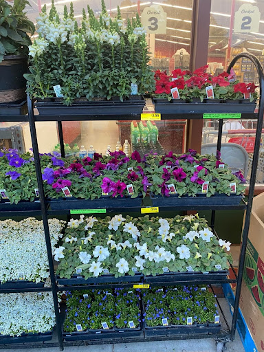 Grocery Store «Grocery Outlet Bargain Market», reviews and photos, 125 Hickey Blvd, South San Francisco, CA 94080, USA