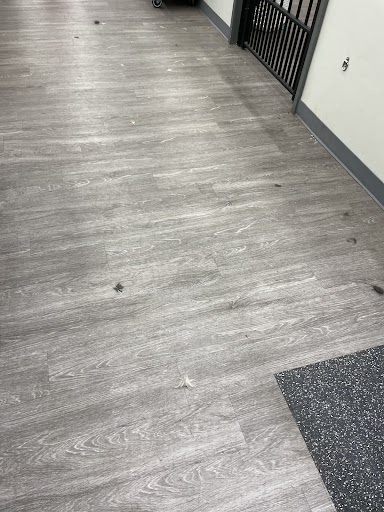 Pet Supply Store «Pet Supplies Plus», reviews and photos, 1268 N Eisenhower Dr, Beckley, WV 25801, USA