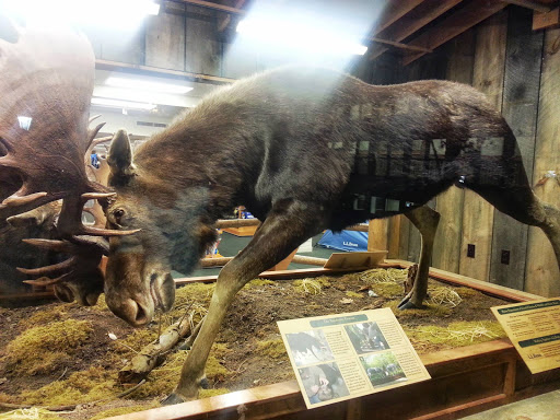 Clothing Store «L.L. Bean Outlet», reviews and photos, 1 Freeport Village Station, Freeport, ME 04033, USA