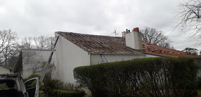 Rouzee William à Saint-Herblain