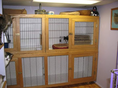 CatLover Pet Sitting