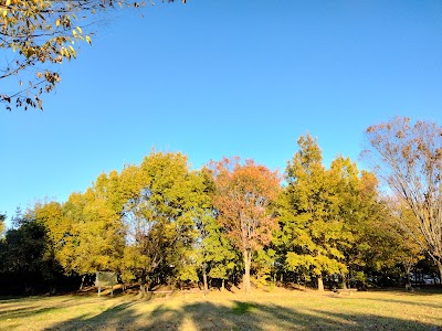 生命の森