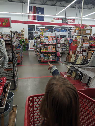 Home Improvement Store «Tractor Supply Co.», reviews and photos, 339 Rolling Hills Cir, Easley, SC 29640, USA