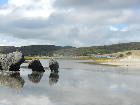 Maungapiko Beach