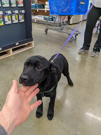 Pet Supply Store «PetSmart», reviews and photos, 6106 Shops Way, Northborough, MA 01532, USA