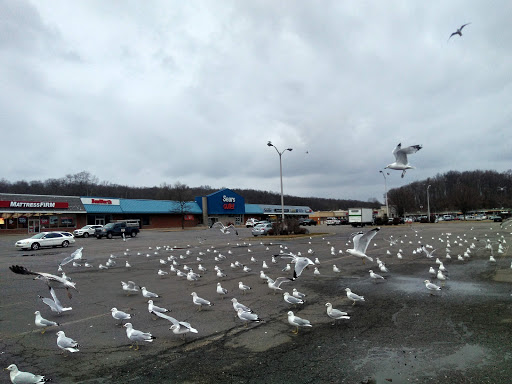 Shopping Mall «Sussex County Mall», reviews and photos, 15 Hampton House Rd, Newton, NJ 07860, USA