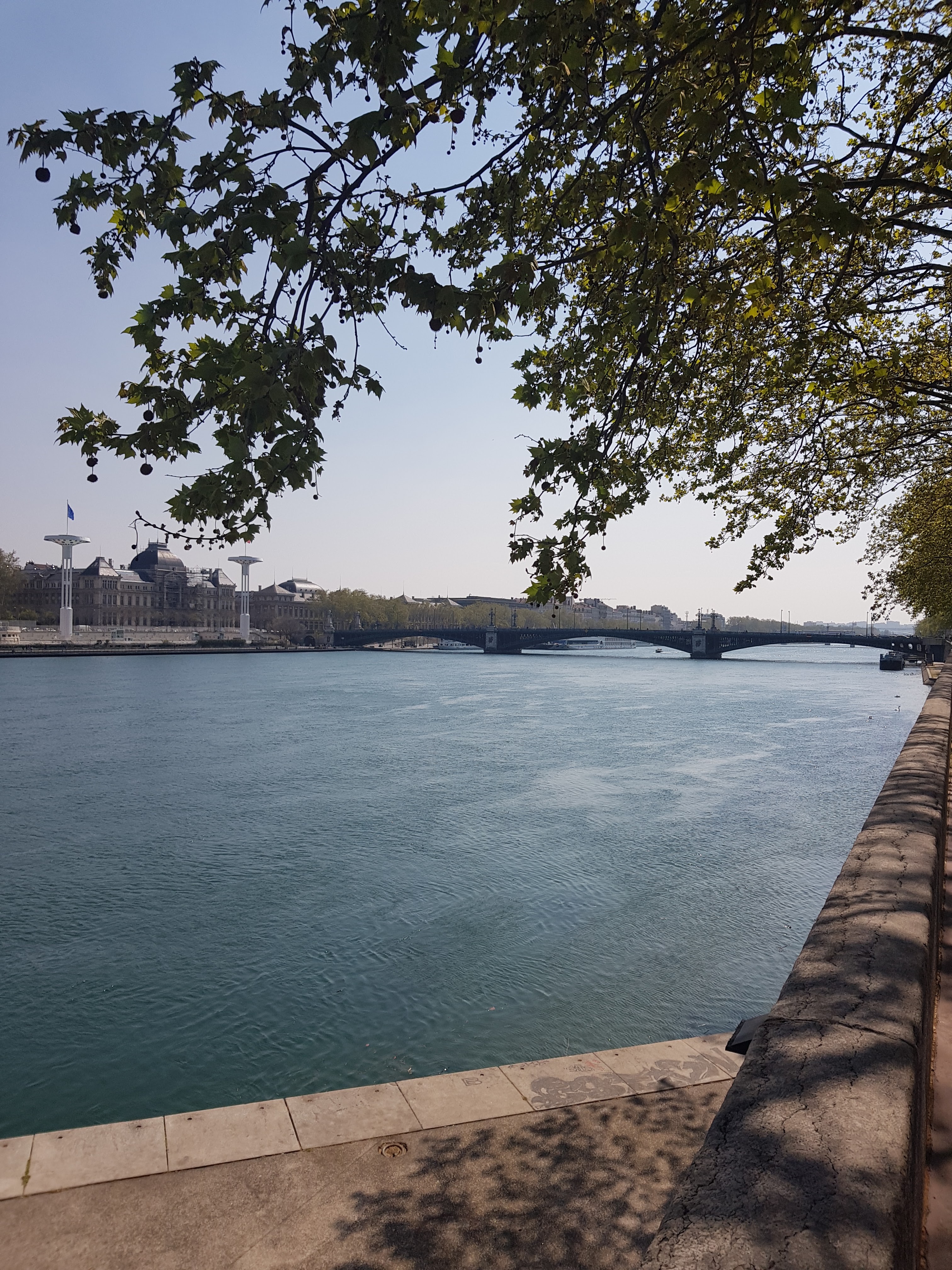 Photo n° 1 de l'avis de Fred.e fait le 12/04/2019 à 22:49