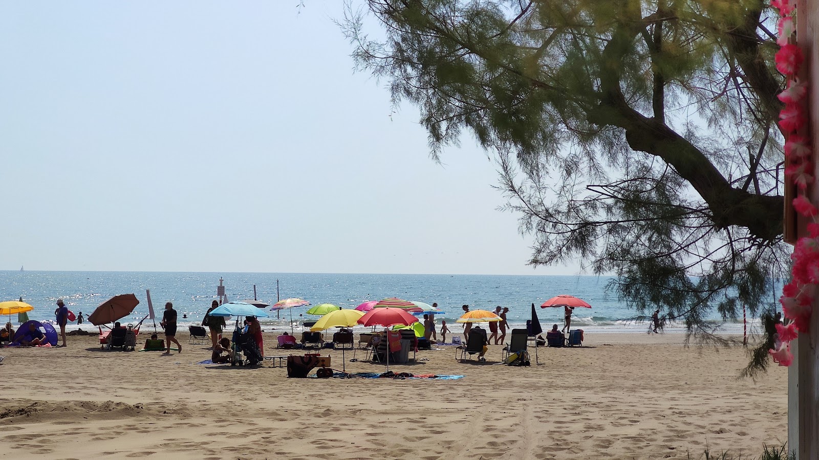 Cavallino beach的照片 带有碧绿色纯水表面
