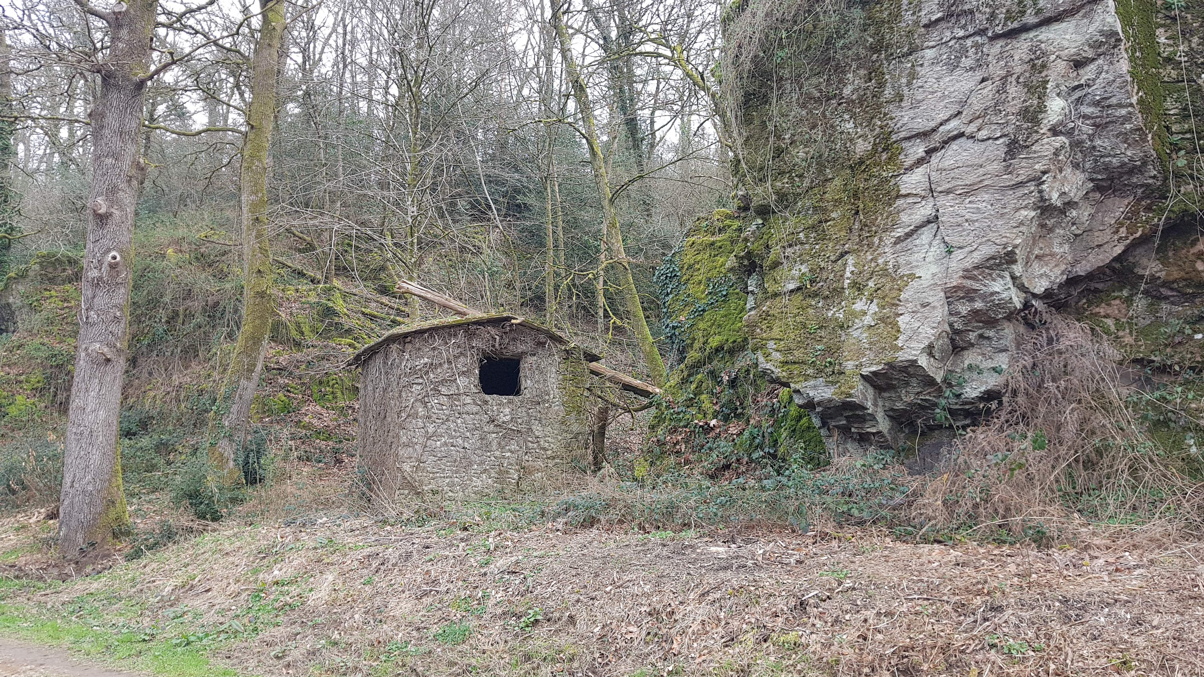 Photo n° 17 de l'avis de Christian.a fait le 07/03/2021 à 13:01