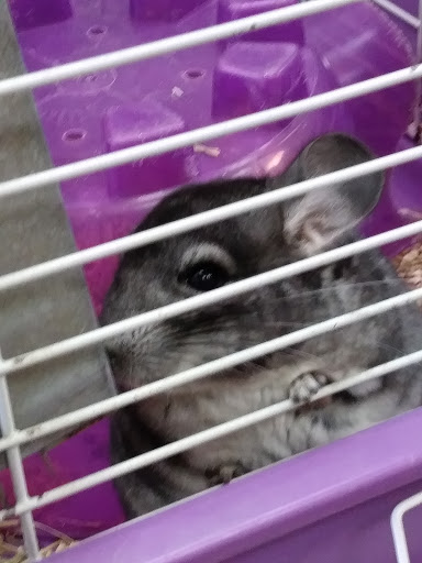 Pet Store «Last Place on Earth Pet Store», reviews and photos, 1461 E Franklin Blvd, Gastonia, NC 28054, USA