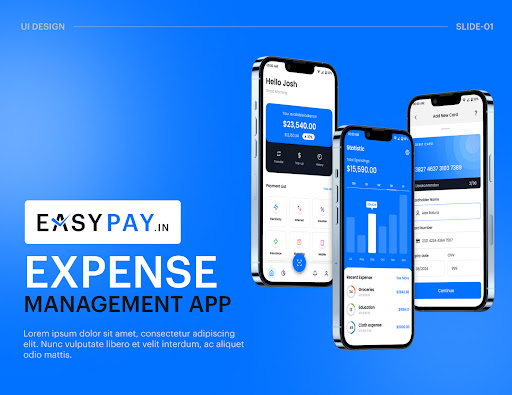 Dolphin Web Solution - eCommerce Website & App Development Company USA image
