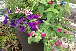 Flowerbuds Greenhouse image