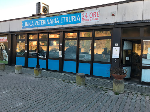 Pensioni per cani e dog hotel a Clinica Veterinaria Etruria 24 H - Centro Commerciale Montarioso Siena
