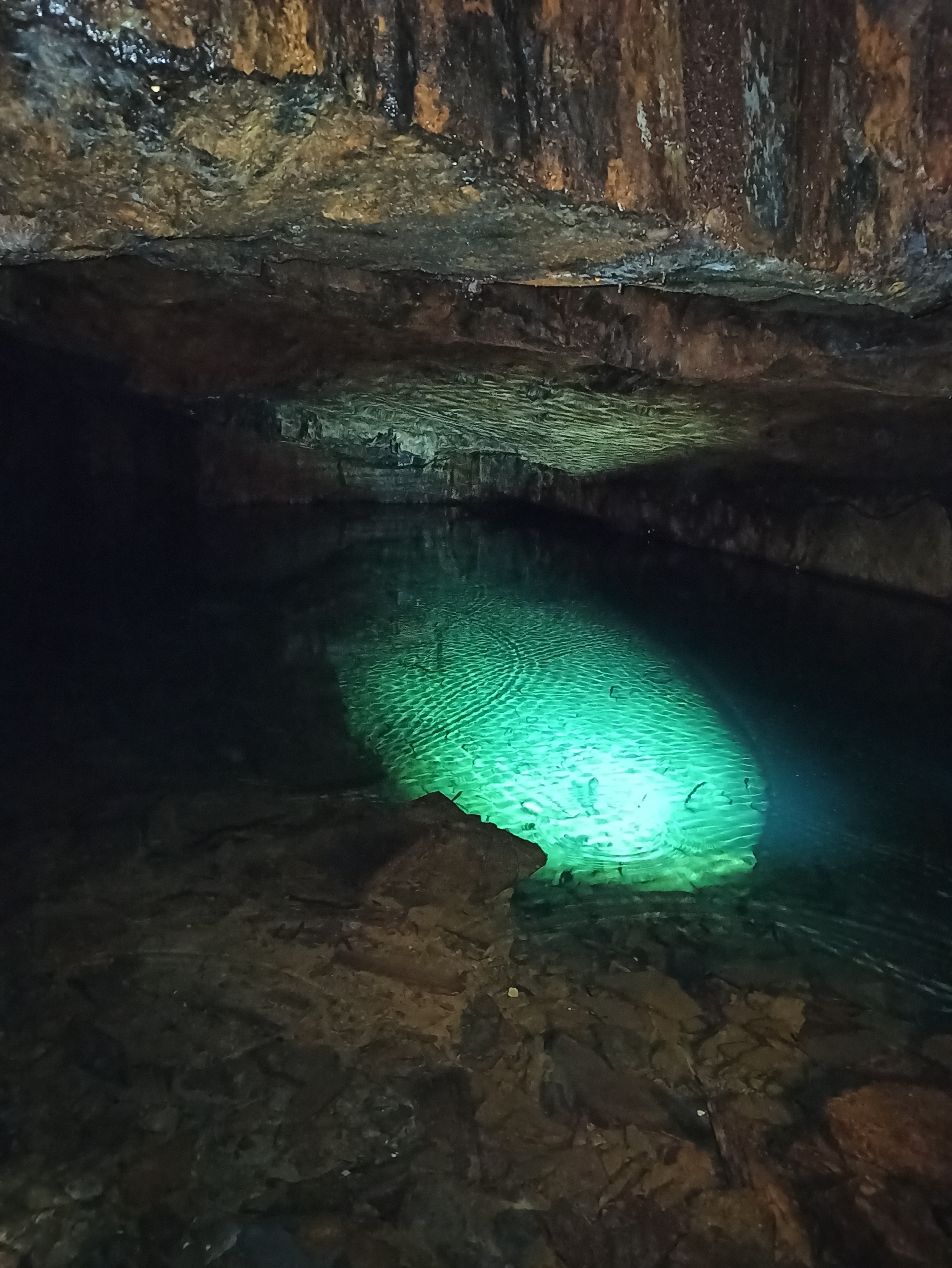 Photo n° 30 de l'avis de Soleil.u fait le 22/07/2020 à 21:32