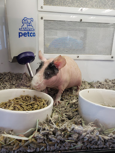 Pet Supply Store «Petco Animal Supplies», reviews and photos, 1591 Sloat Blvd, San Francisco, CA 94132, USA