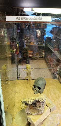 Pet Supply Store «Pet Bazaar», reviews and photos, 490 FL-436, Casselberry, FL 32707, USA