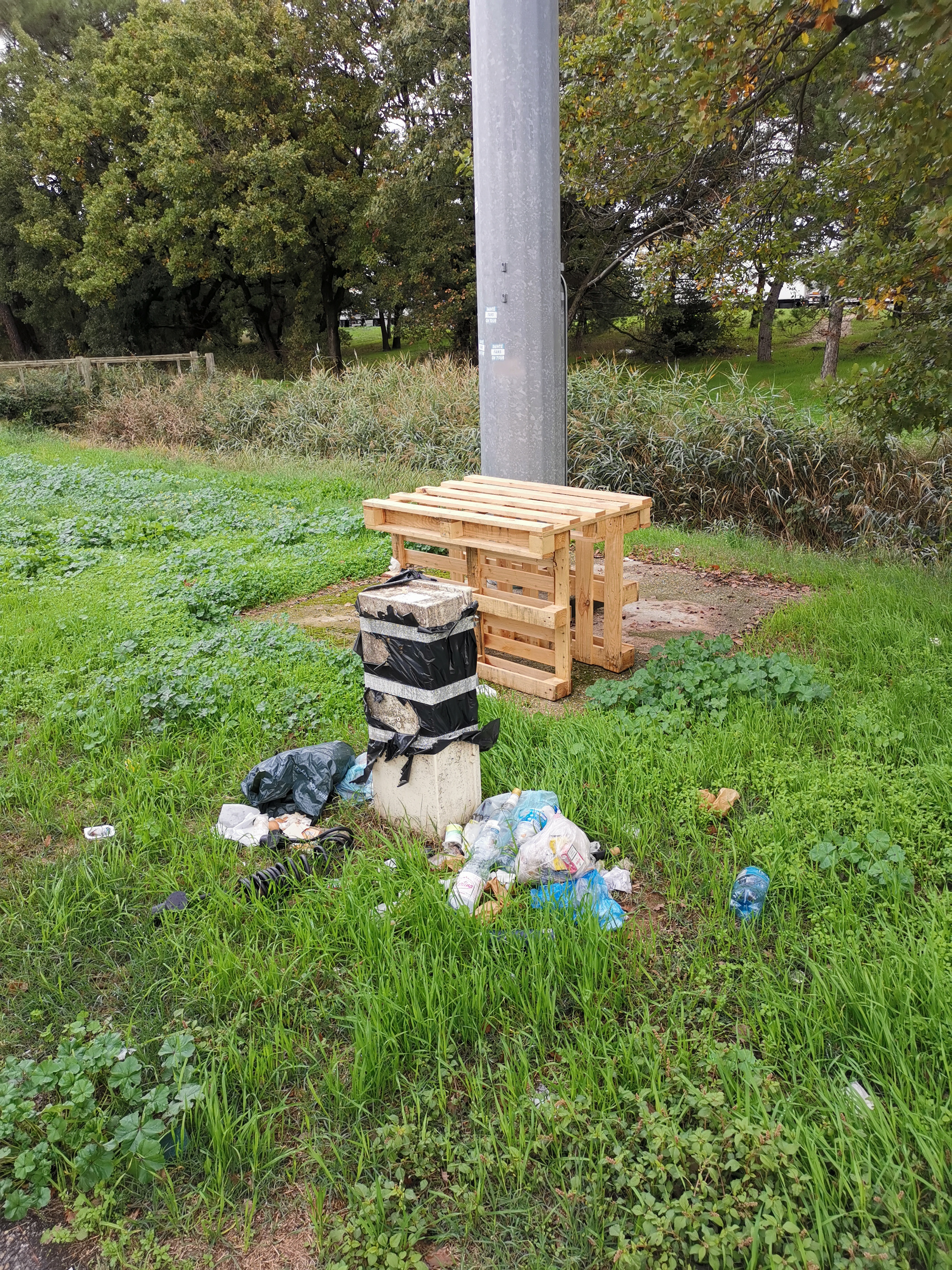 Photo n° 3 de l'avis de Horst.e fait le 02/11/2019 à 15:10
