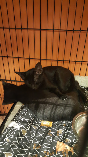 Pet Supply Store «Perk Valley Pet Eatery», reviews and photos, 130 W Main St #102-104, Trappe, PA 19426, USA