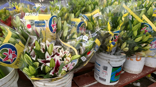 Wholesale Florist «Oakland Flower Market», reviews and photos, 821 Jefferson St, Oakland, CA 94607, USA