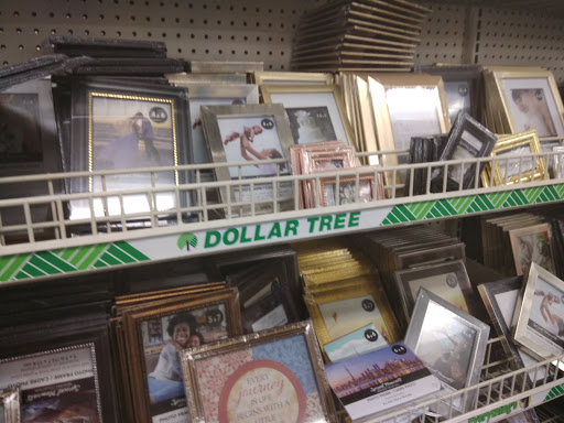 Dollar Store «Dollar Tree», reviews and photos, 12533 Olive Blvd, Creve Coeur, MO 63141, USA
