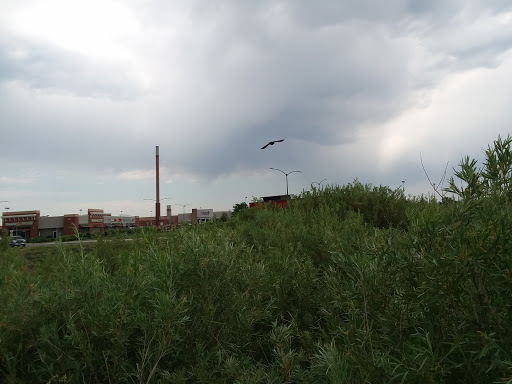 Golf Course «Broken Tee Golf Course», reviews and photos, 2101 W Oxford Ave, Englewood, CO 80110, USA