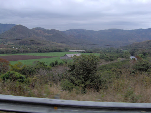 Tobacco Shop «Blanco Cigar Company Inc», reviews and photos, 6399 142nd Ave N, Clearwater, FL 33760, USA