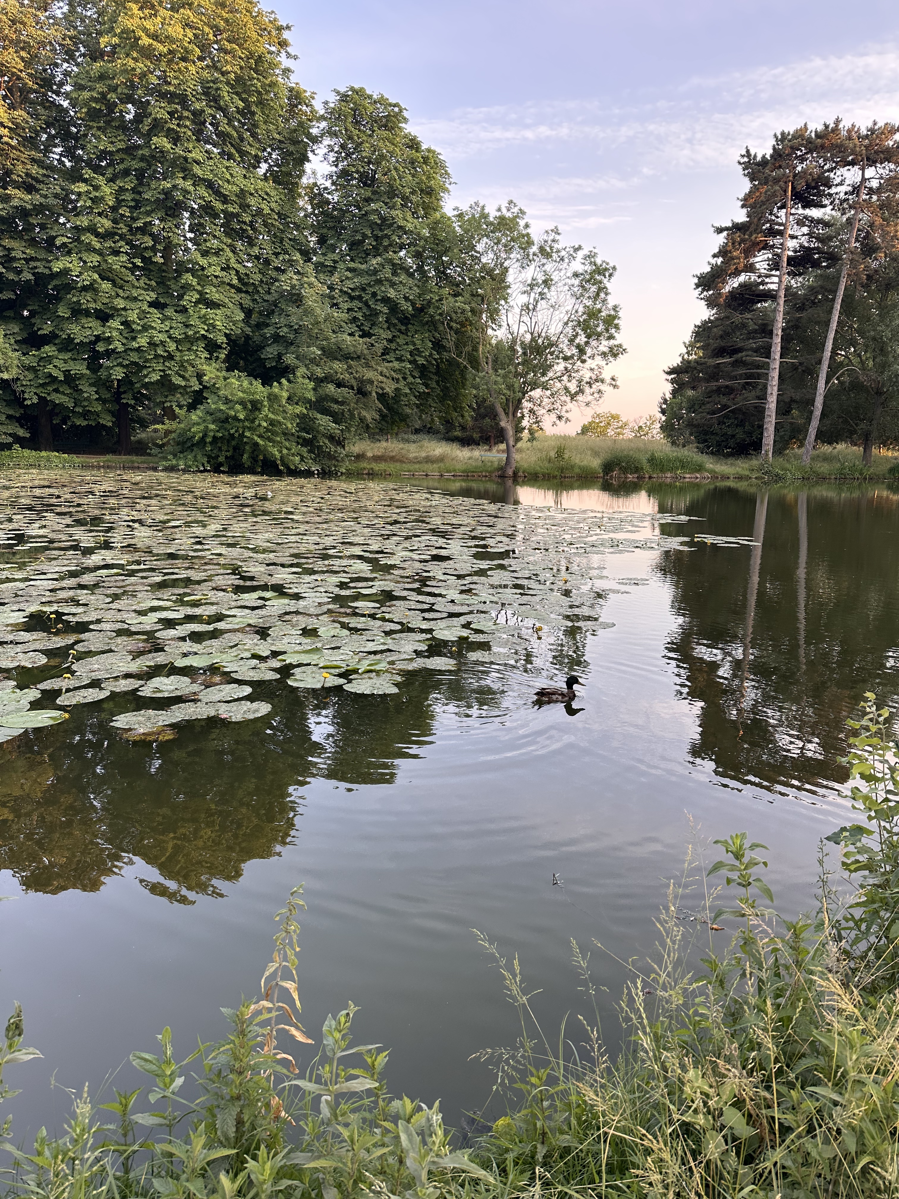 Photo n° 3 de l'avis de Rita.P fait le 08/06/2023 à 21:16