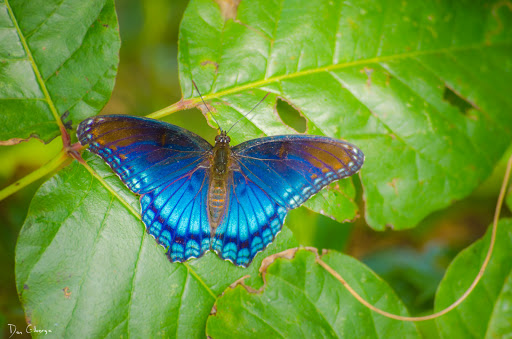 State Park «Radnor Lake State Park», reviews and photos, 1160 Otter Creek Rd, Nashville, TN 37220, USA