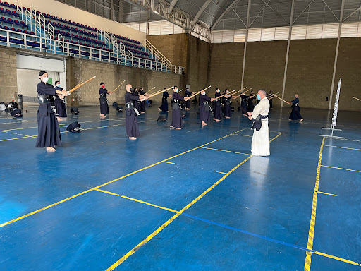 Kendo Iaido Tenken Ryu