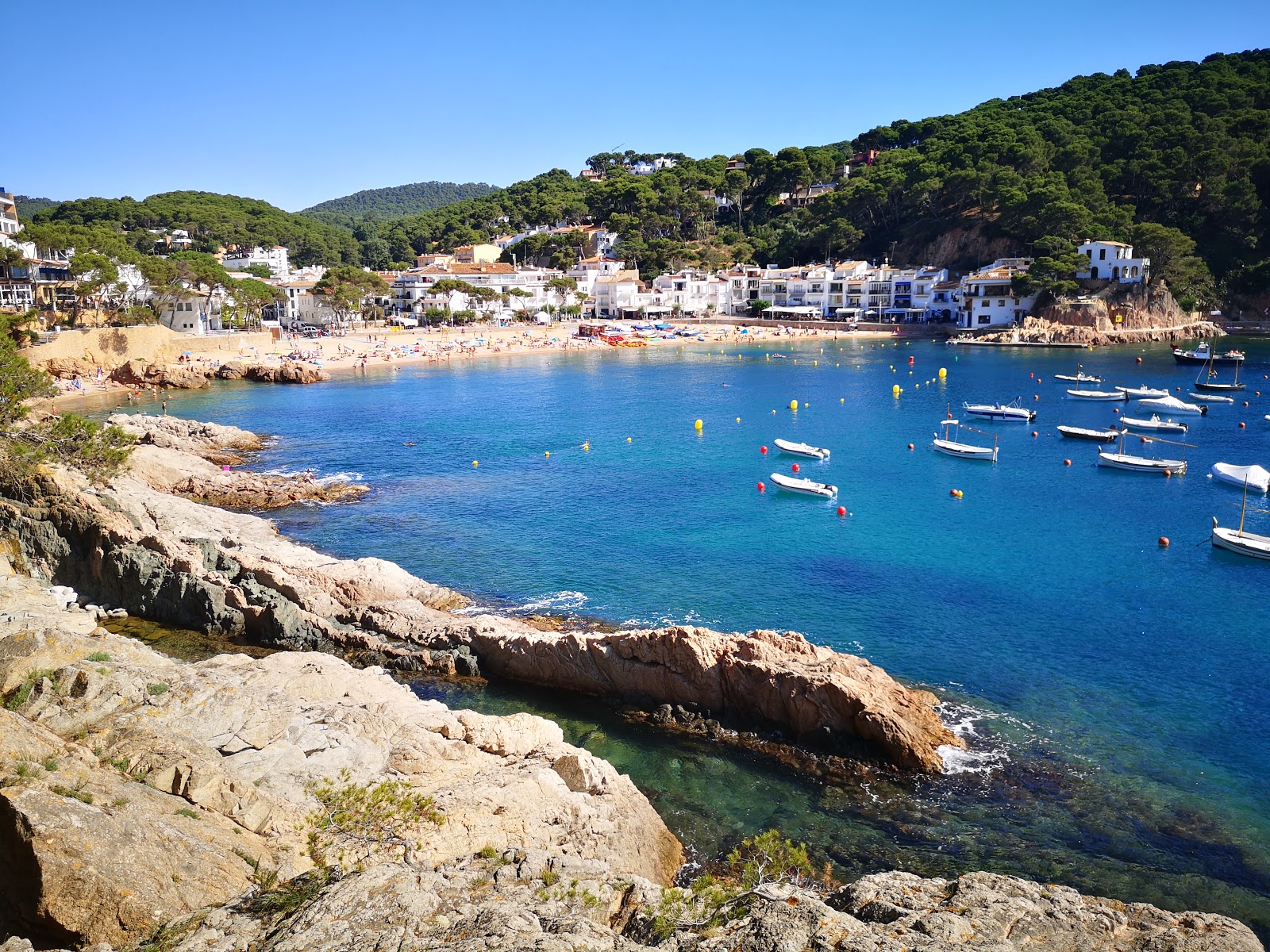 Foto de Platja de Tamariu con arena brillante superficie