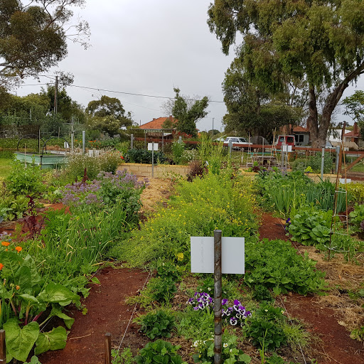 Hilton Harvest Community Garden