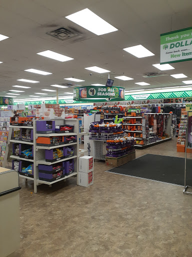 Dollar Store «Dollar Tree», reviews and photos, 9055 Biscayne Blvd, Miami Shores, FL 33138, USA