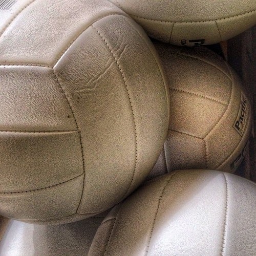 Gift Shop «Alki Surf Shop», reviews and photos, 2622 Alki Ave SW, Seattle, WA 98116, USA