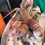 Photo n°3 de l'avis de Corrado.i fait le 21/04/2024 à 07:00 sur le  La Rosa dei Venti à Palmi