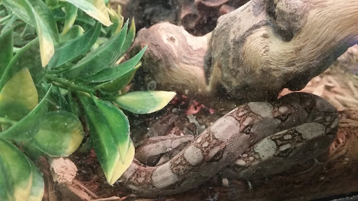 Pet Store «Marineland Pet Center», reviews and photos, 412 Oak Forest Dr, Onalaska, WI 54650, USA