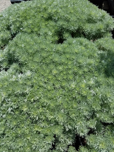 Produce Market «Stauffer Fruit Stand», reviews and photos, RR 663, Pennsburg, PA 18073, USA