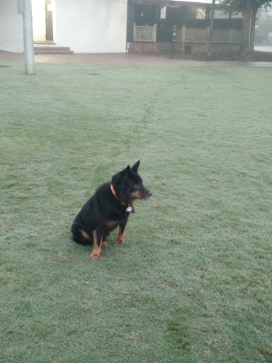 Park «Henry C. Chambers Waterfront Park», reviews and photos, Bay St, Beaufort, SC 29902, USA