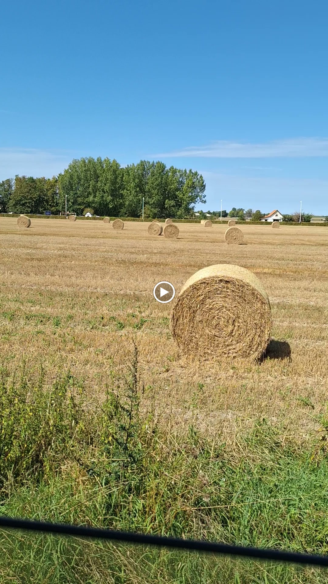 Photo n° 22 de l'avis de Philippe.l fait le 26/08/2023 à 08:29