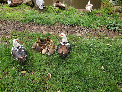 GeerCrest Farm