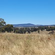 Day's Lookout