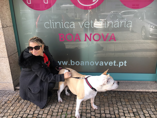 Clinica Veterinaria Boa Nova, Lda. - Veterinário