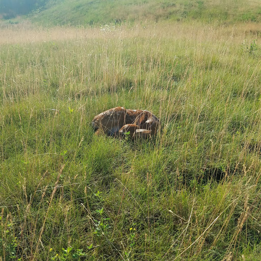 Golf Club «Blackheath Golf Club», reviews and photos, 3311 N Rochester