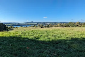 Borkener See Nature Reserve image