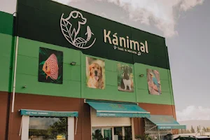 Kanimal mascotas image