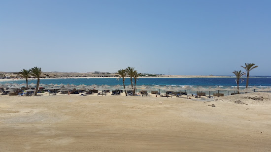 Abu Dabbab