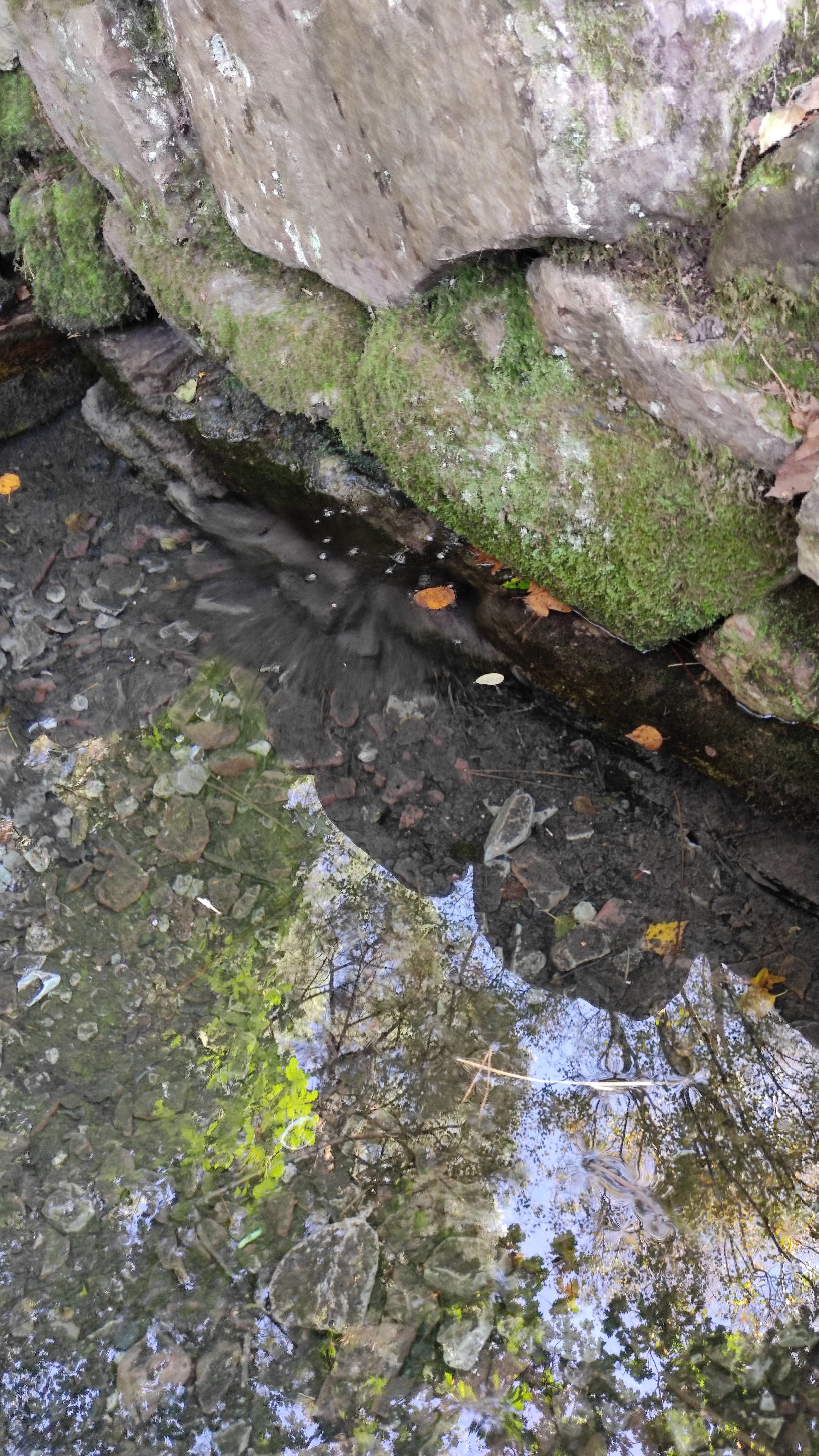 Photo n° 3 de l'avis de S. fait le 23/10/2021 à 17:35