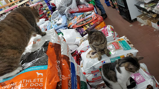 Pet Store «Cross Bronx Pet Shop», reviews and photos, 2064 Cross Bronx Expy, Bronx, NY 10472, USA
